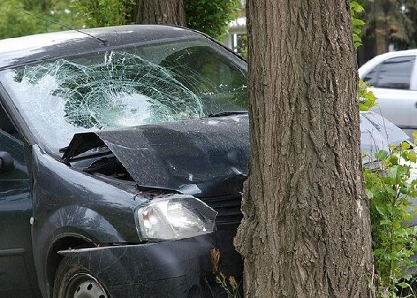 İsmayıllıda "Toyota" ağaca çırpıldı- 3 nəfər yaralandı