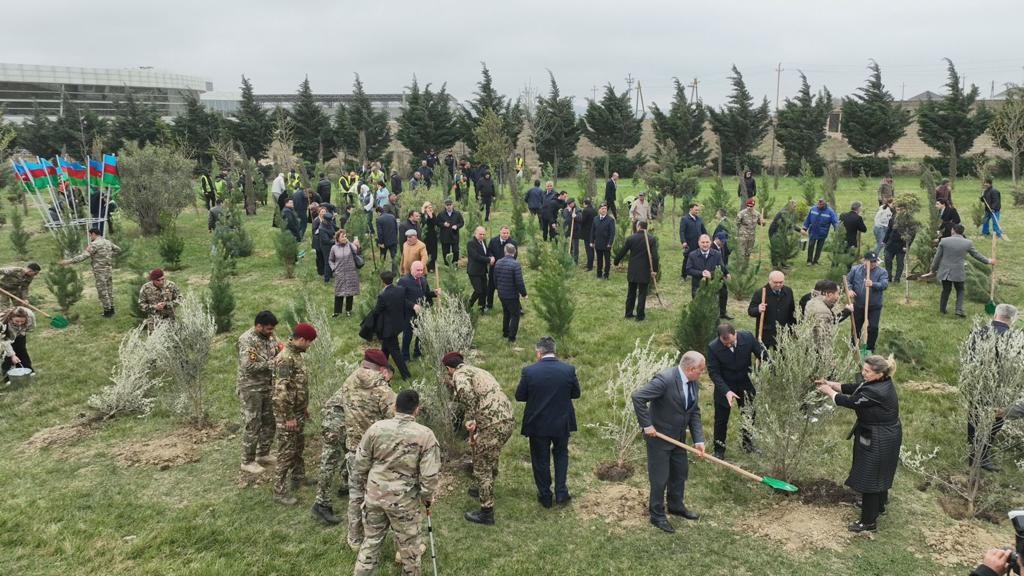 Abşeronda “Heydər Əliyev İli” çərçivəsində ağacəkmə aksiyası keçirildi - FOTOLAR