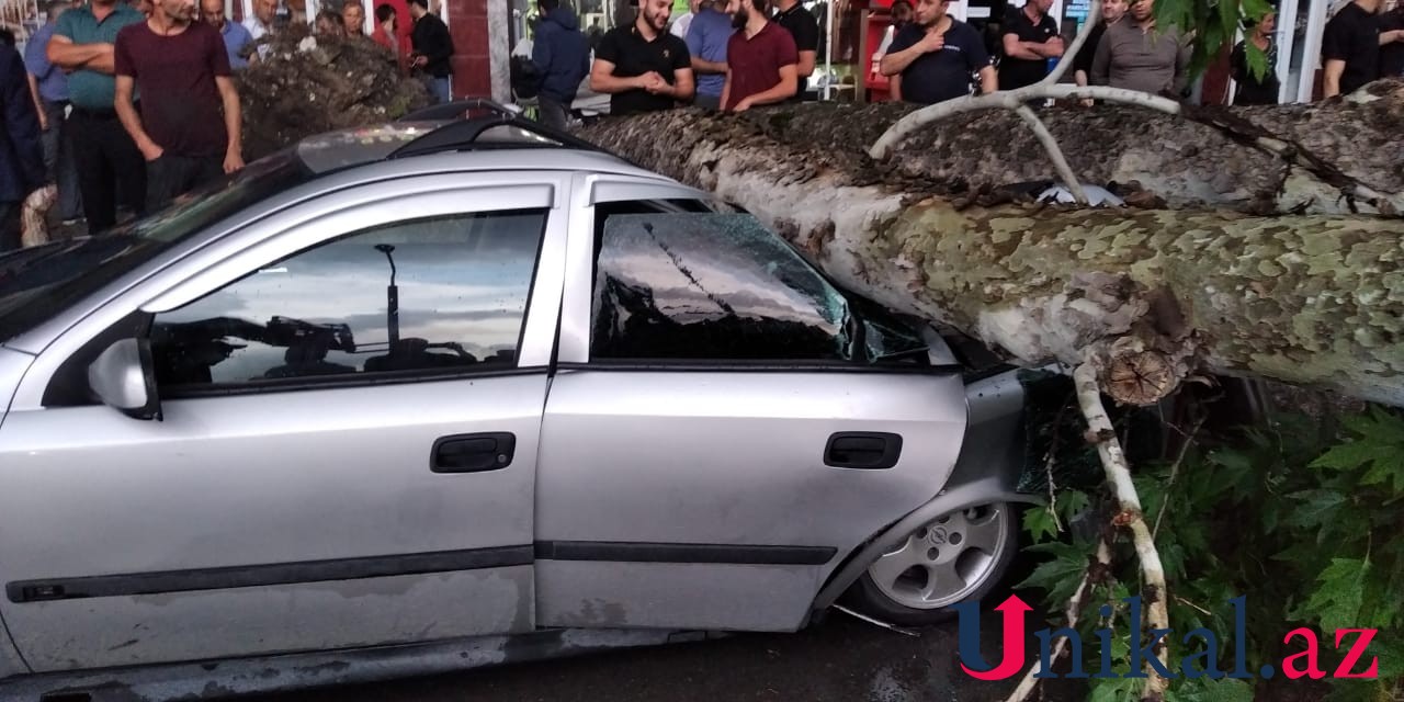 İsmayıllıda bir ağac 3 avtomobilin üstünə aşdı - VİDEO (FOTO)
