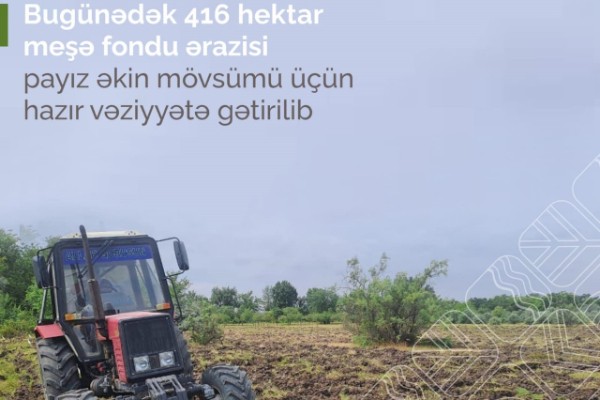 416 hektar meşə fondu ərazisi payız əkin mövsümü üçünhazır vəziyyətə gətirilib