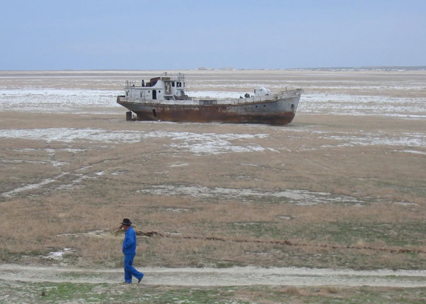 Aral dənizinin qurumuş dibi yaşıl sahəyə çevriləcək