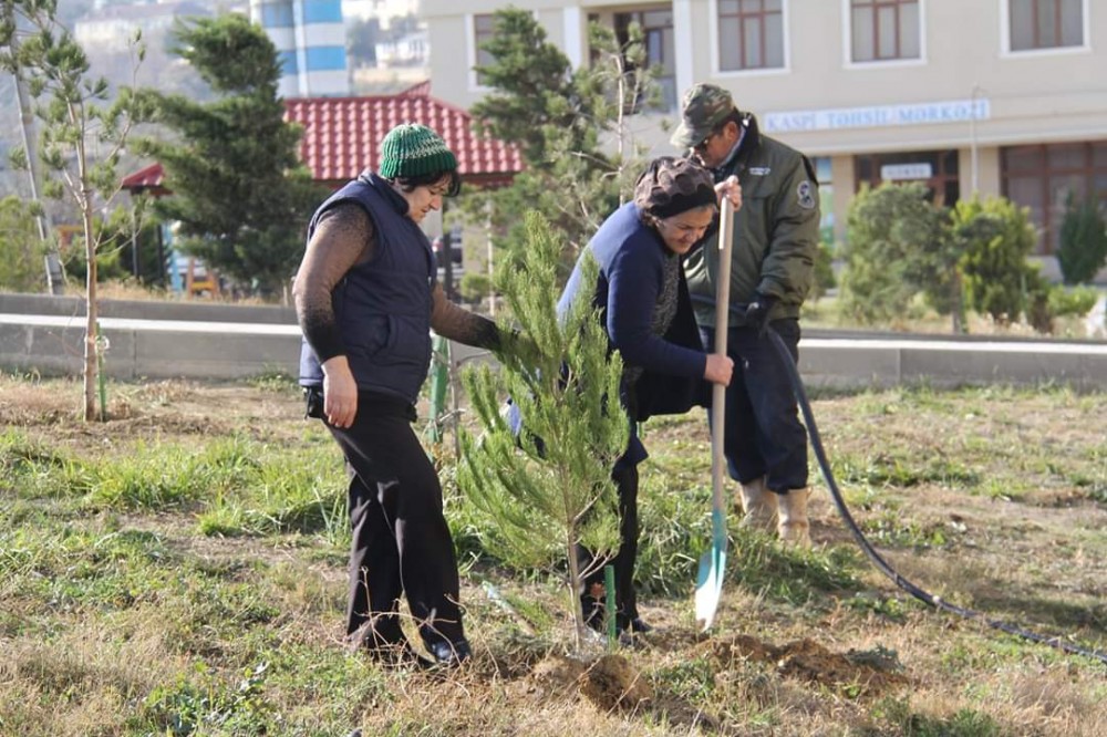 Ağac əkək kampaniyasına jurnalistlər də qoşuldu - FOTOLAR