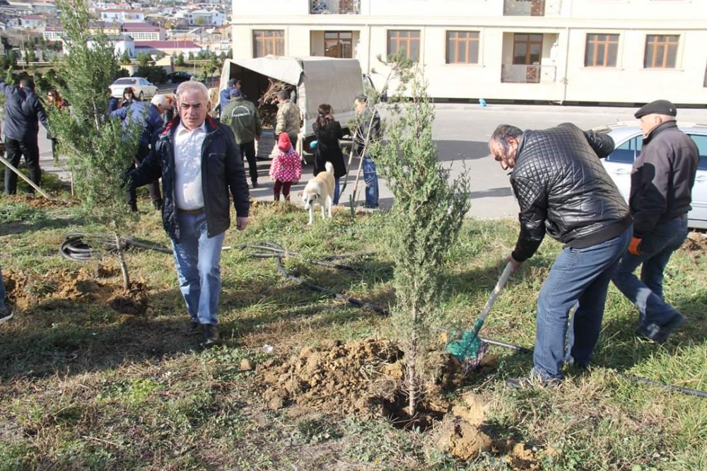 Ağac əkək kampaniyasına jurnalistlər də qoşuldu - FOTOLAR