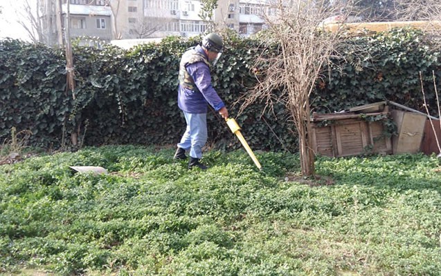 Bakıda əl qumbarası tapıldı - Fotolar