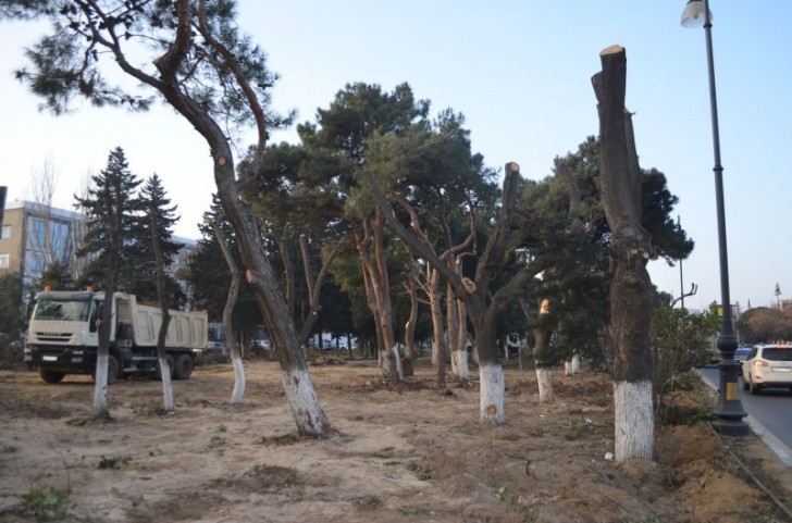 Atatürk parkı belə olacaq - FOTOLAR