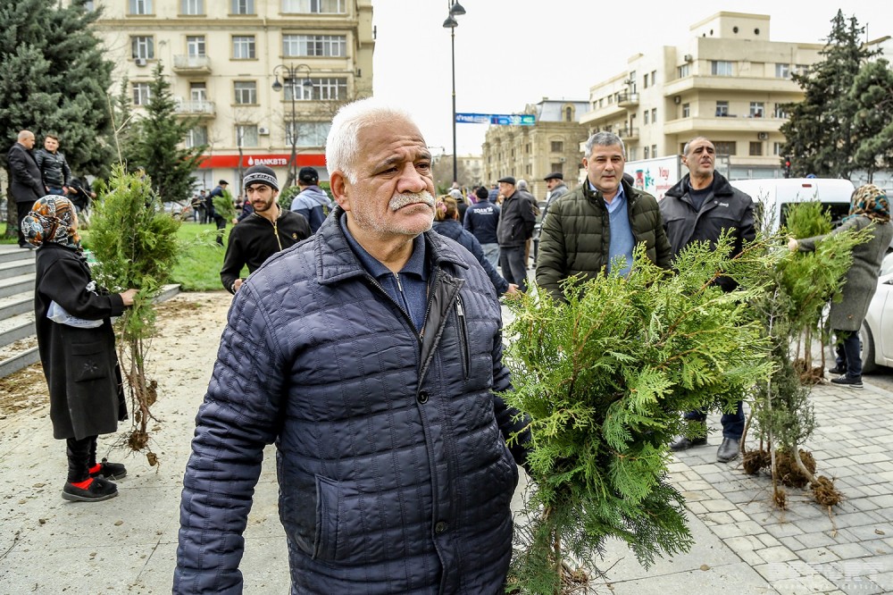 Nazirlik vətəndaşlara ağac tingləri payladı - FOTOLAR