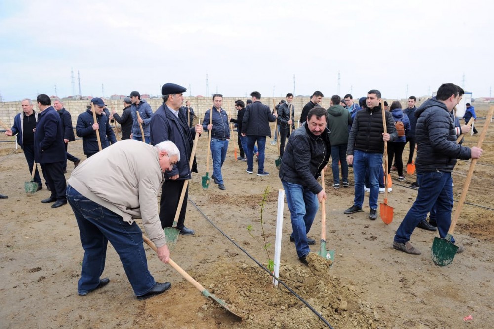 Ekalogiya nazirliyinin aksiyasına bu dəfə Nazirlər Kabineti qoşuldu - FOTOLAR