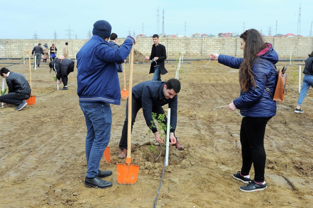 Ekalogiya nazirliyinin aksiyasına bu dəfə Nazirlər Kabineti qoşuldu - FOTOLAR