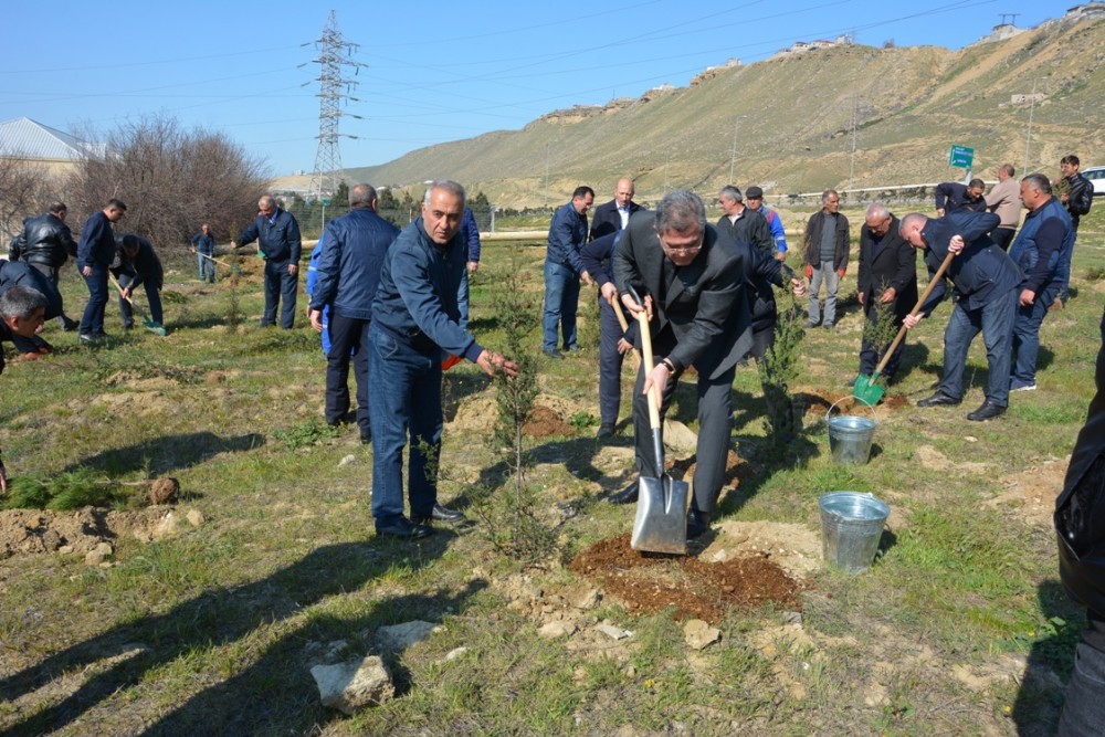 Qaradağda on milyonuncu sakinin şərəfinə atəşfəşanlıq oldu - FOTOLAR