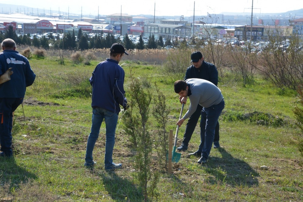 Qaradağda on milyonuncu sakinin şərəfinə atəşfəşanlıq oldu - FOTOLAR