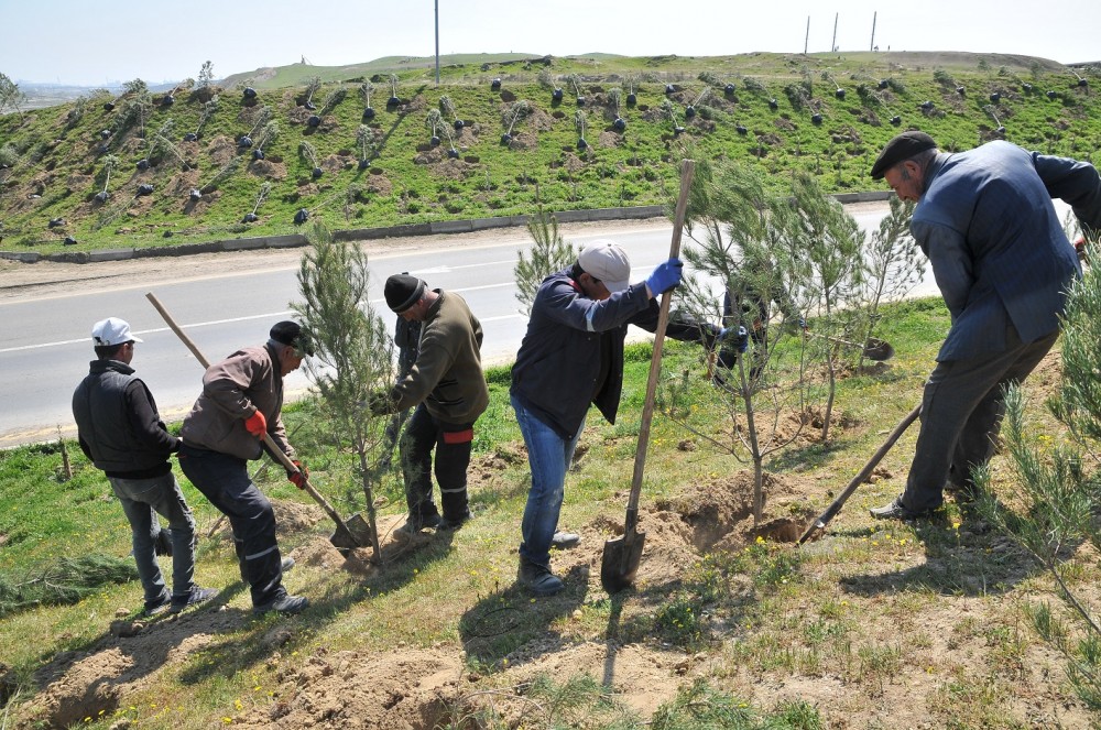 Abşeronda 10 milyonuncu sakinin dünyaya gəlişi bayram edildi - FOTOLAR