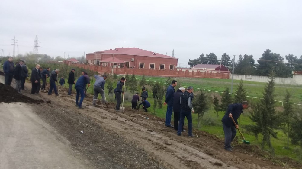 10 milyonuncu sakinə görə 25 minə yaxın ağac əkildi - FOTOLAR