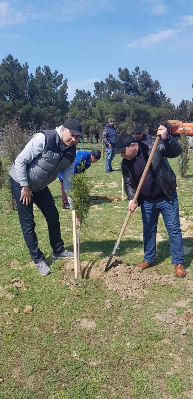 10 milyonuncu sakinə görə 25 minə yaxın ağac əkildi - FOTOLAR