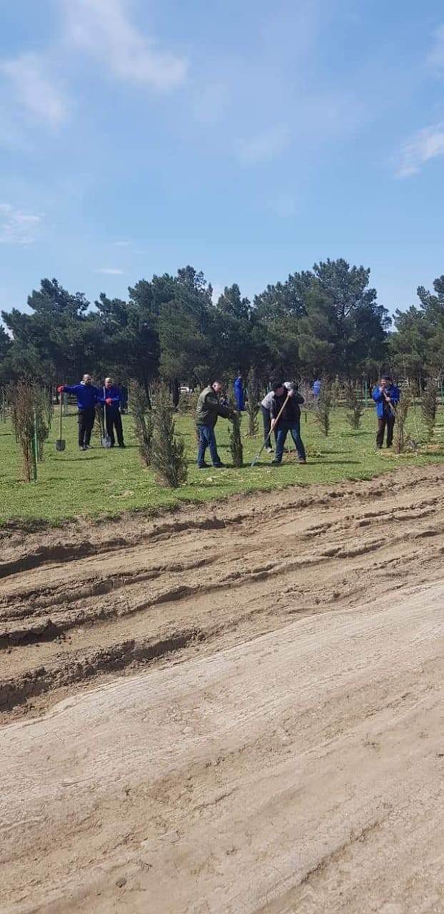 10 milyonuncu sakinə görə 25 minə yaxın ağac əkildi - FOTOLAR