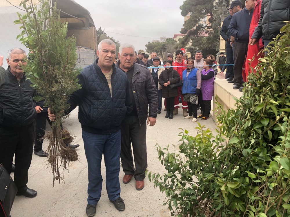 “Bu yaz özün bir təbiət yarat!”... - FOTO