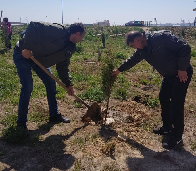 Jurnalistlərin binası qarşısında 300 meyvə və şam ağacı əkildi - FOTO