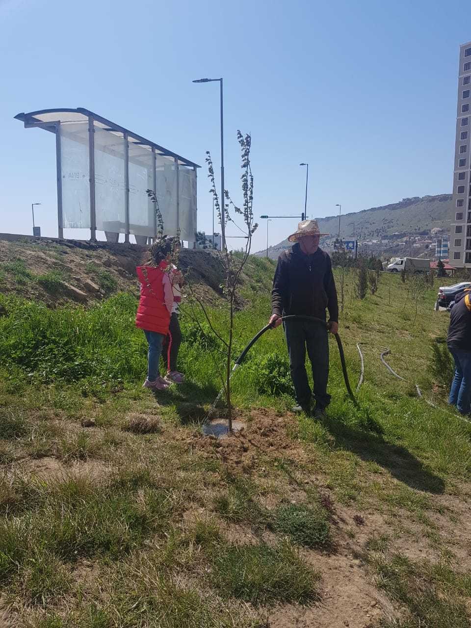 Jurnalistlərin binası qarşısında 300 meyvə və şam ağacı əkildi - FOTO