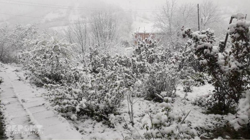 Qubaya qar yağdı - FOTO