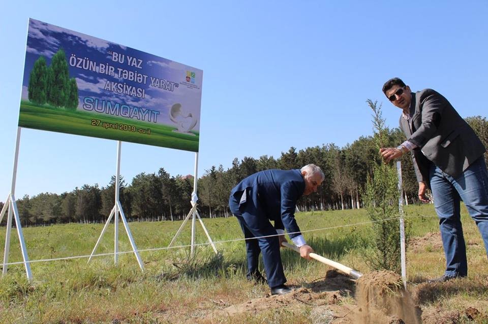 Sumqayıtda jurnalistlər ağac əkdi - FOTO