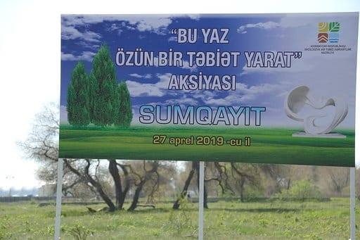 Sumqayıtda jurnalistlər ağac əkdi - FOTO