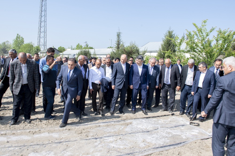 İnam Kərimov pilot layihənin təqdimatında - FOTO