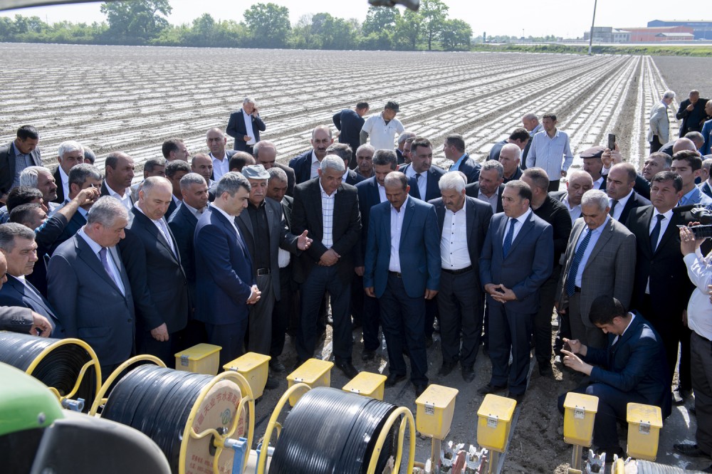 İnam Kərimov pilot layihənin təqdimatında - FOTO