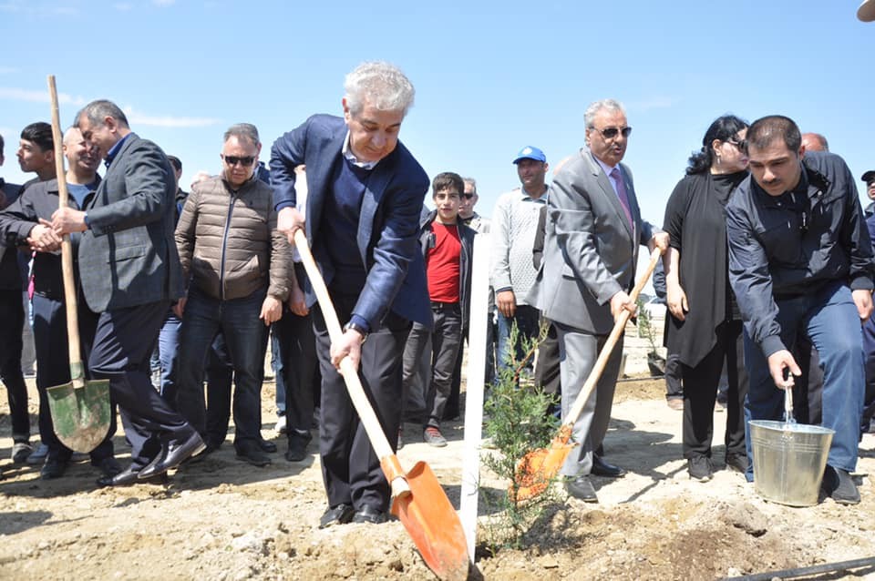 Heydər Əliyevin anadan olmasının ildönümü ilə əlaqədar ağacəkmə aksiyası keçirilib - FOTO