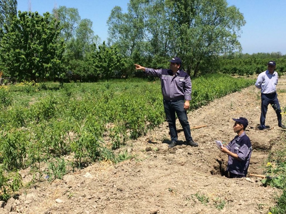 Əmlak Komitəsi birbaşa sahələrdə analiz apardı - FOTO