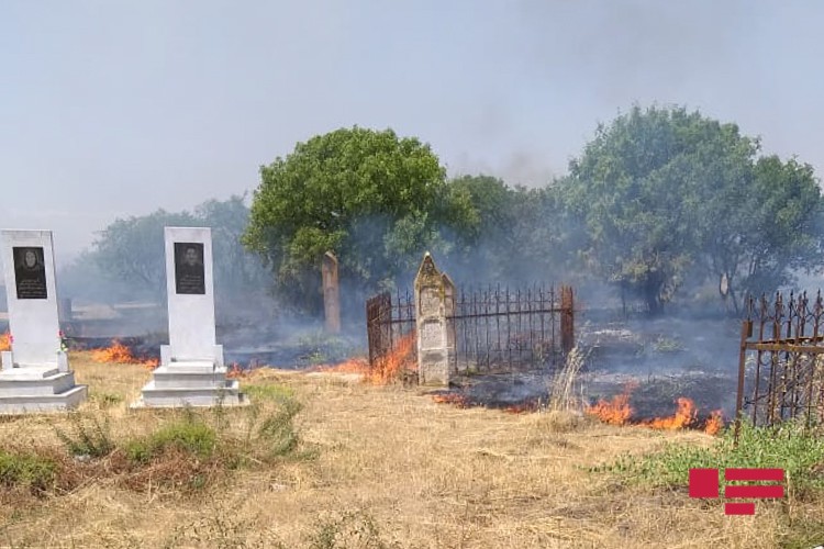 Ermənilərin törətdiyi yanğın təmas xəttində qəbiristanlığa keçdi - FOTOLAR