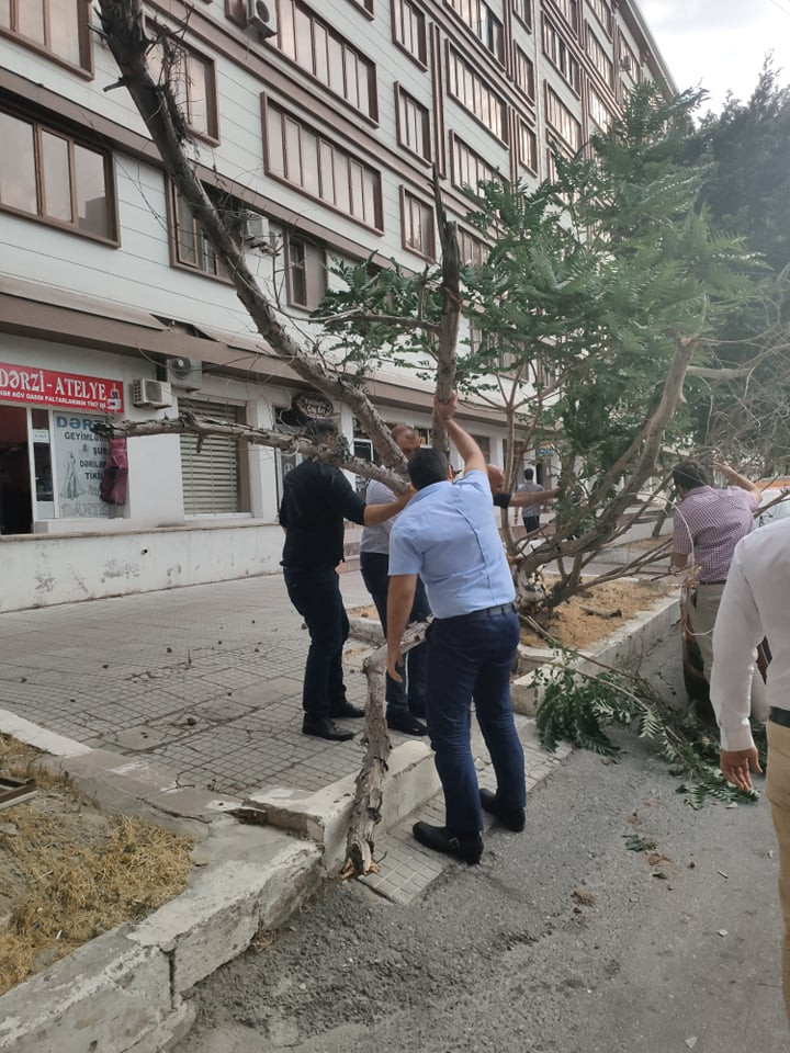 Avtomobilin üzərinə aşan ağac belə götürüldü - FOTOLAR