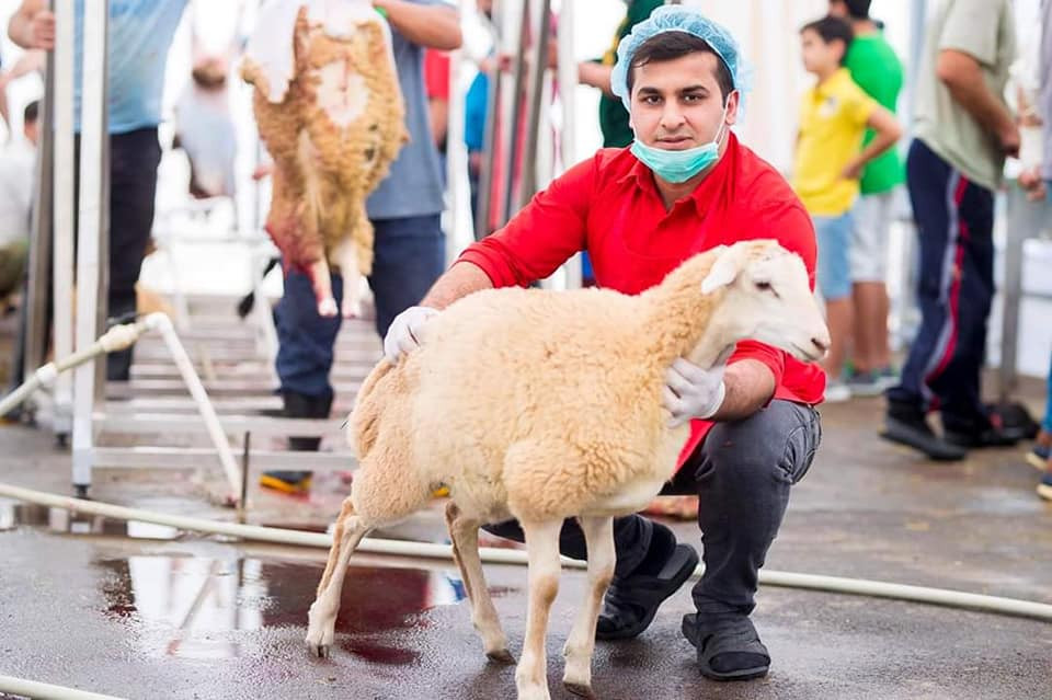 Qurbanlıq heyvanlar yarmarkada neçəyədir? - FOTO