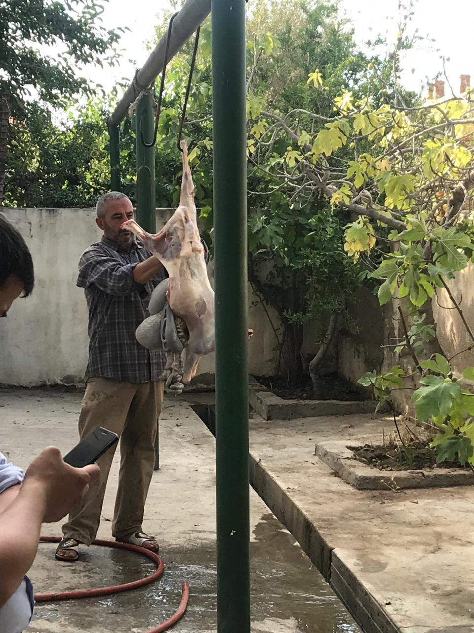 Qaradağ İcra Hakimiyyətindən Qurban bayramı AÇIQLAMASI (FOTOLAR)