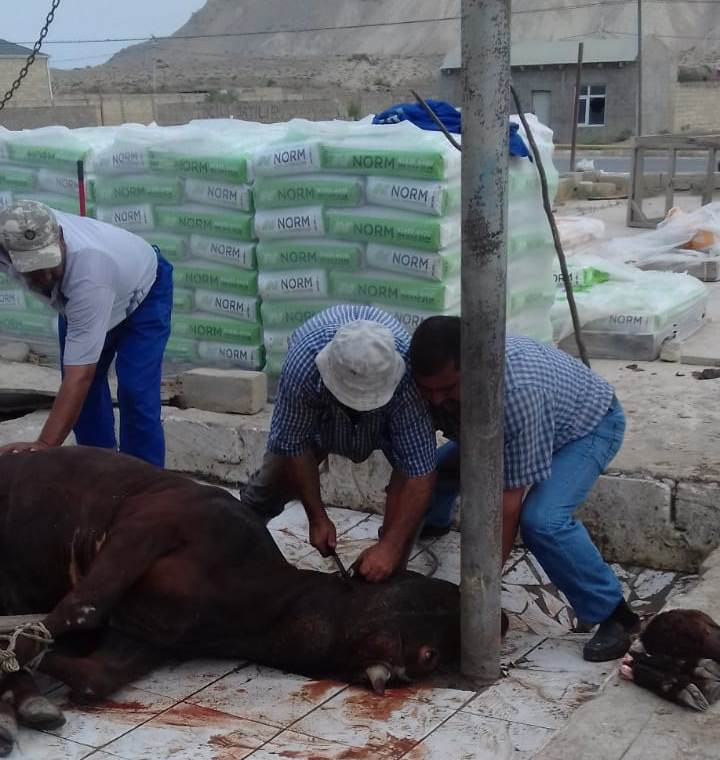 Qaradağ İcra Hakimiyyətindən Qurban bayramı AÇIQLAMASI (FOTOLAR)