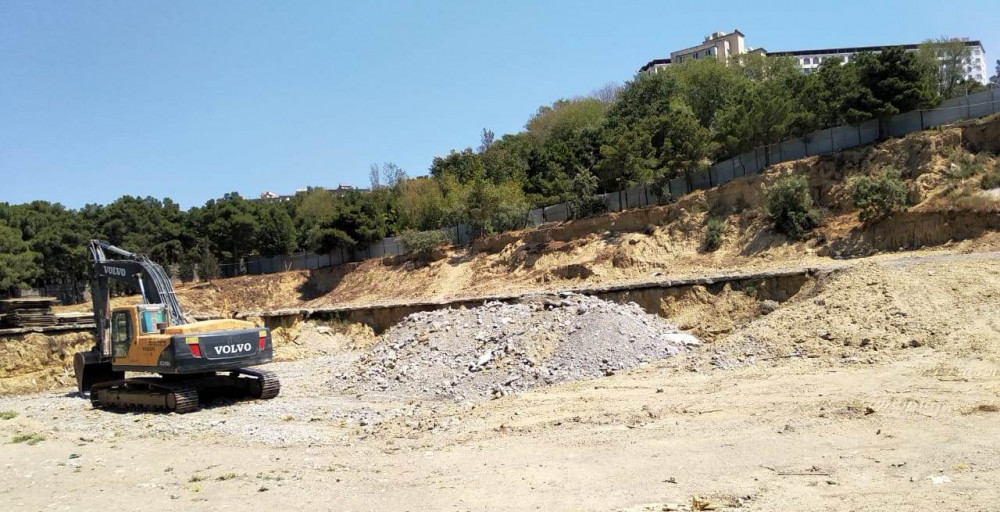 Ağacların qorunub saxlanması üçün məcburi göstəriş verilib - FOTO