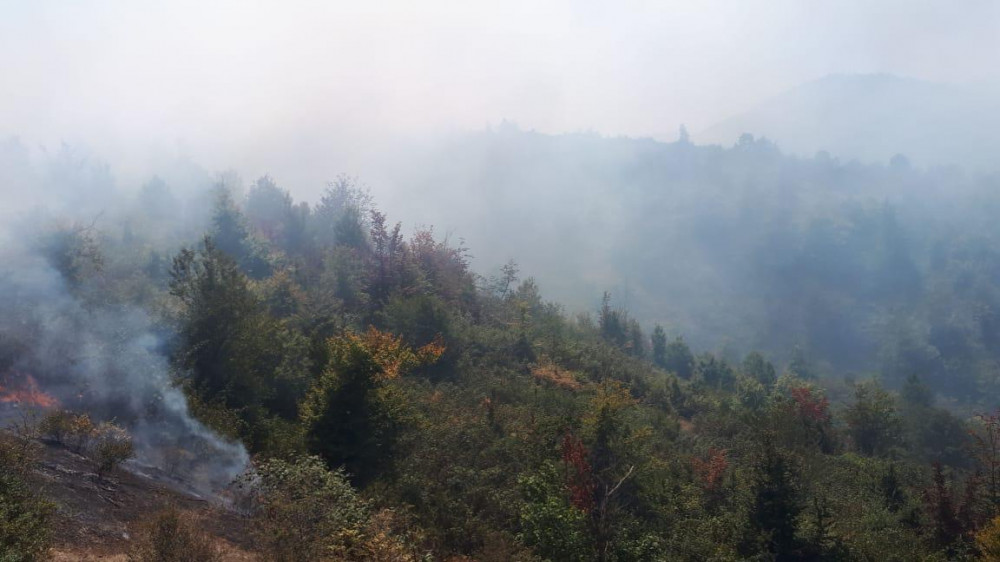 Hirkan Milli Parkı YANIR - FOTO