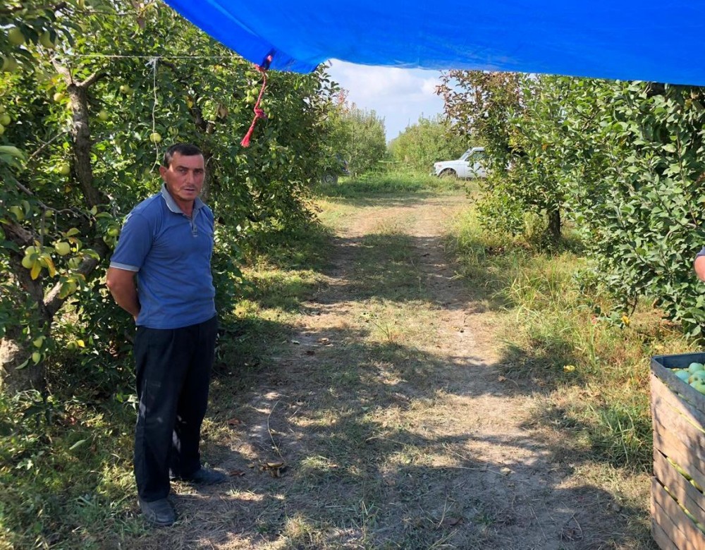 Qubada alma oğruları tutulub - FOTO