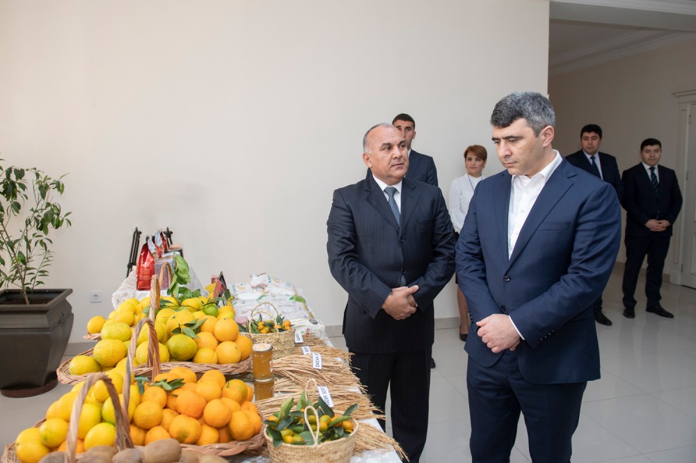 İnam Kərimov Astarada vətəndaşları qəbul etdi - FOTO