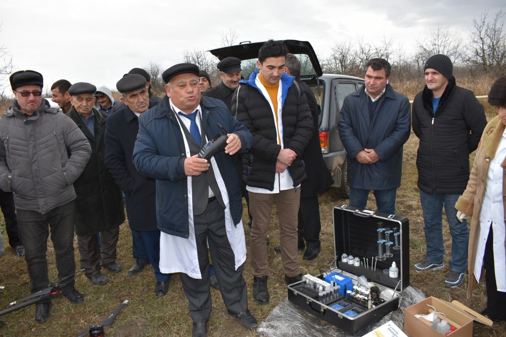 Qubada dronla xəstəlik və zərərvericilərə qarşı əməliyyat aparıldı - Foto