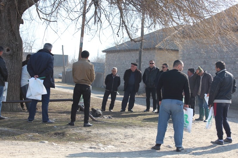 Novruz Aslanovun təşviqat kampaniyası İsmayıllı şəhərində davam edir - FOTOLAR