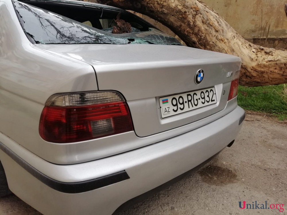 Nəsimidə külək ağac "BMW"nin üzərinə aşırdı - FOTOLAR