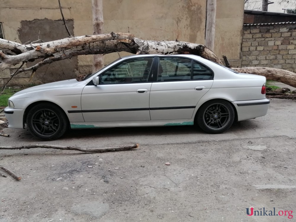 Nəsimidə külək ağac "BMW"nin üzərinə aşırdı - FOTOLAR