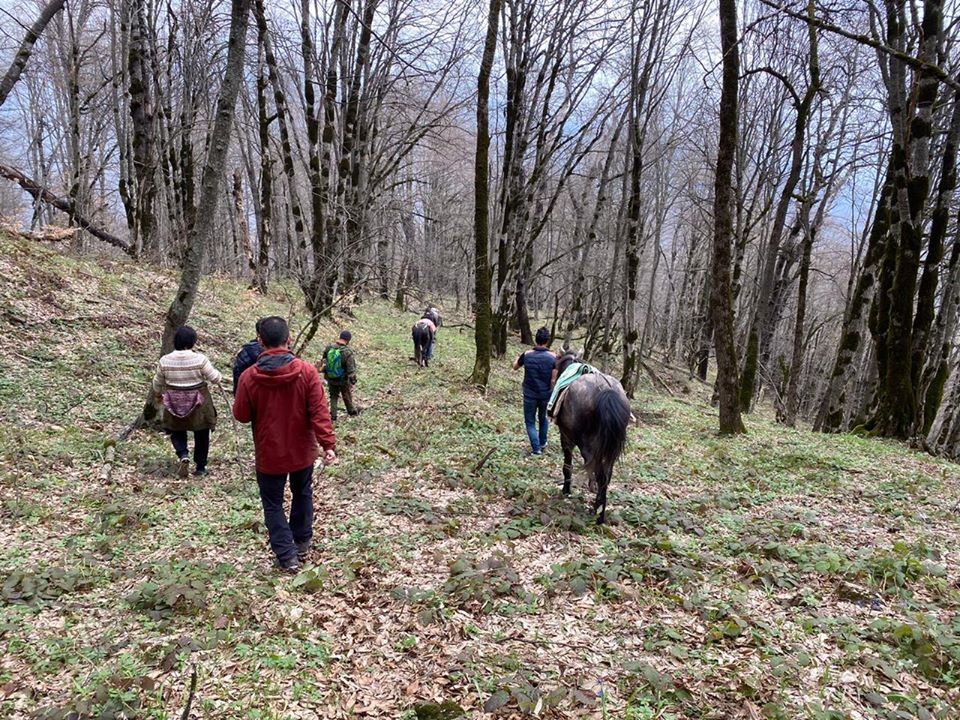 İcra başçısı karantin qaydalarını belə pozubmuş - FOTOLAR