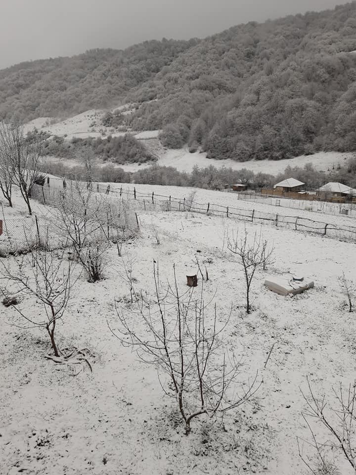 Azərbaycanda bu rayonlara qar yağıb - Faktiki hava