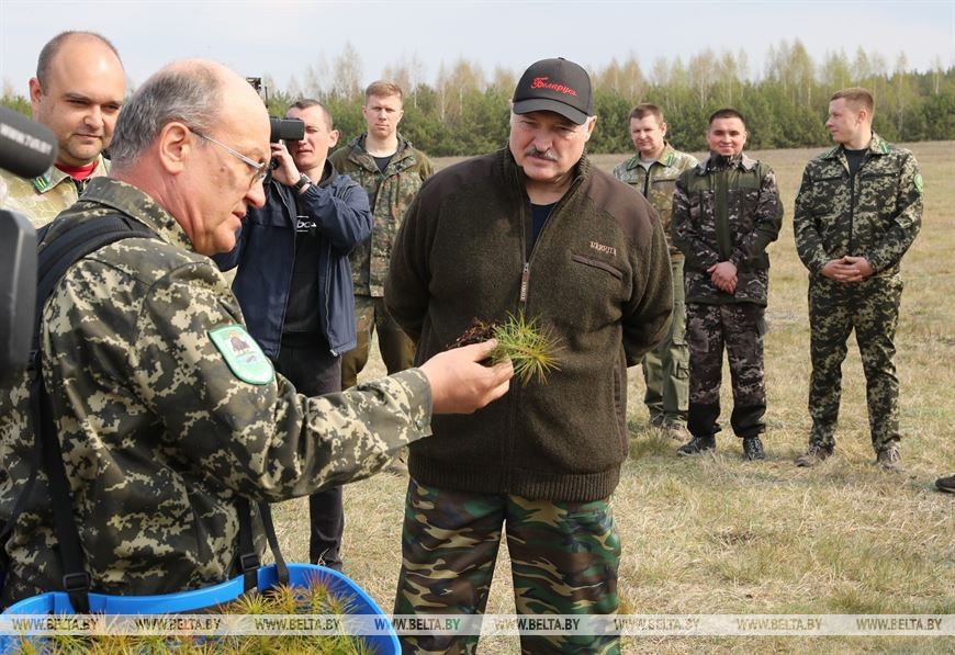 Koronavirusdan qorxmayan Lukaşenko iti ilə birlikdə ağac əkdi - VİDEO
