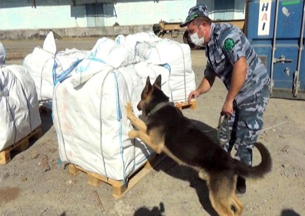 Ölkəyə 200 kiloqram heroin keçirməyə çalışdılar 