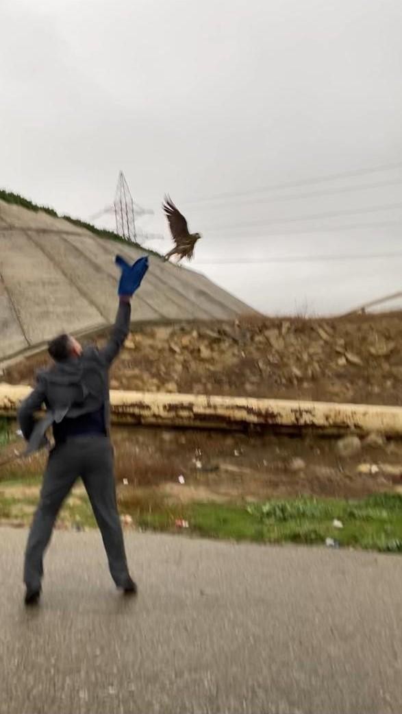 Şahin quşalarını qanunsuz ovlayan əcnəbi saxlanıldı - FOTO