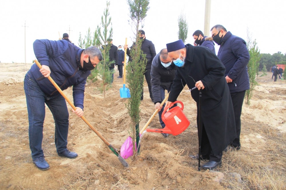 Gəncədə Vətən müharibəsi şəhidlərinin xatirəsinə 2783 ağac əkilib - FOTOLAR