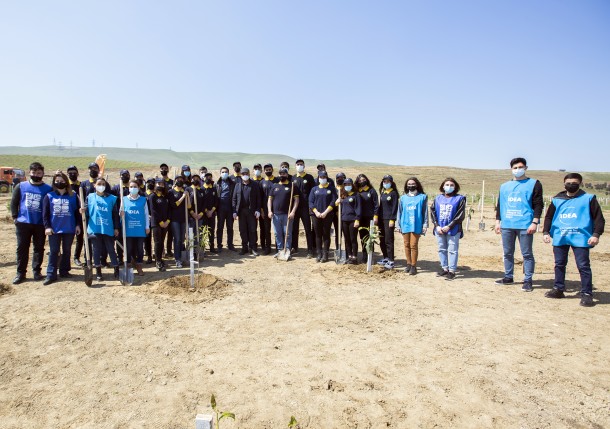 Dövlət Gömrük Komitəsi də “Yaşıl Marafon”a qoşuldu - FOTO