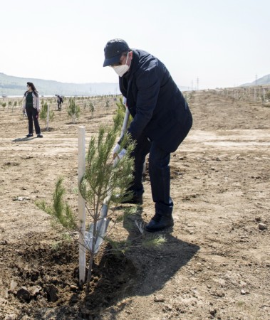 Dövlət Gömrük Komitəsi də “Yaşıl Marafon”a qoşuldu - FOTO