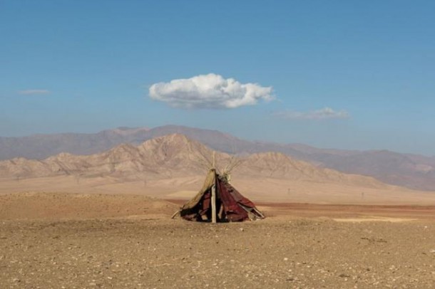 İlin fotoqrafı o seçildi - FOTOLAR